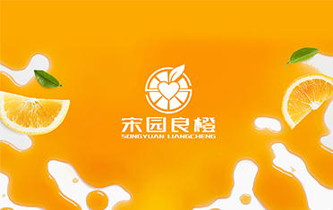 某良橙——连云港LOGO设计