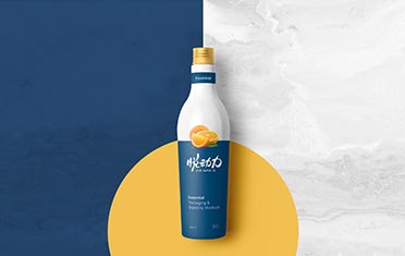 连云港某动力 品牌设计